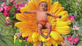 Tamil Kadavul Murugan S01E77 Story of Sevvai's Birth Full Episode