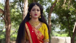 Thakumar Jhuli S01E22 Damasa Captures Madhumala Full Episode
