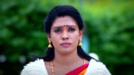 Thavamai Thavamirundhu S01E29 20th May 2022 Full Episode