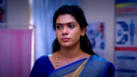 Thavamai Thavamirundhu S01E44 7th June 2022 Full Episode