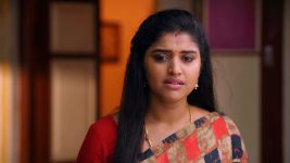 Thirumanam S01E438 20th August 2020 Full Episode