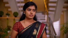 Thirumanam S01E445 31st August 2020 Full Episode