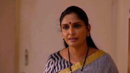 Thirumanam S01E446 1st September 2020 Full Episode