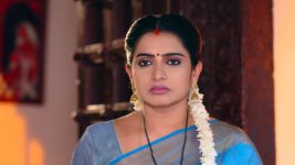 Vadinamma S01E87 Shailu Misunderstands Sita Full Episode