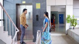 Vandhaal Sridevi S01E218 18th February 2019 Full Episode