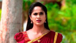 Vidhya No 1 S01E30 29th January 2022 Full Episode