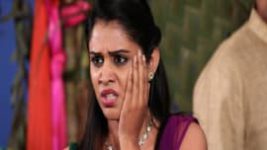 Vidya Vinayaka S01E31 11th December 2017 Full Episode
