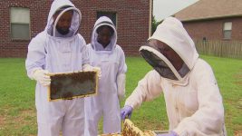 WWE Total Divas S01E00 Naomi and Jimmy Uso try beekeeping - 3rd October 2018 Full Episode