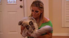 WWE Total Divas S01E00 Natalya is stunned by her cats' bad haircuts - 8th March 2015 Full Episode