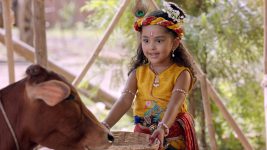 Yashomati Maiya Ke Nandlala S01E98 Gau Palak Krishna Full Episode