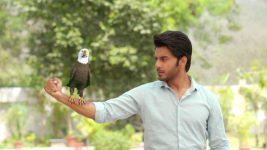 Yeh Jadu Hai Jinn Ka S01E116 A New Challenge for Aman Full Episode