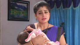 Ashta Chamma S11E22 Swapna Gets Her Child Back Full Episode