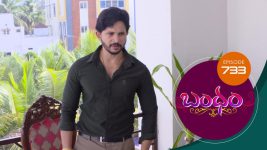 Bandham S01E733 12th May 2021 Full Episode