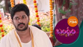 Bandham S01E734 13th May 2021 Full Episode