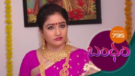 Bandham S01E735 14th May 2021 Full Episode