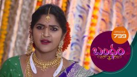 Bandham S01E739 19th May 2021 Full Episode