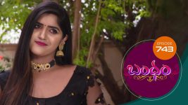 Bandham S01E743 24th May 2021 Full Episode