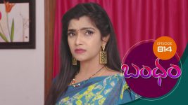 Bandham S01E814 14th August 2021 Full Episode