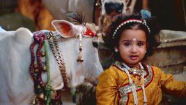 Bhakter Bhagavaan Shri Krishna S04E29 Krishna Wants to Take the Cows Full Episode