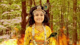 Bhakter Bhagavaan Shri Krishna S06E26 Krishna Defeats Tapaagni Full Episode