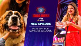 Bigg Boss (Colors tv) S16 E87 Make way for paw-some WILDCARD