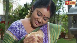 Deivam Thandha Veedu S13E42 Seeta's 'puppy' stories Full Episode