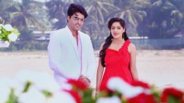 Eetaram Illalu S09E08 Sandhya, Surya's Valentine's Day Full Episode