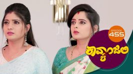 Kavyanjali S01E455 19th February 2022 Full Episode