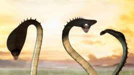 Krishnotsav S04E03 Kaalia, A Five-headed Snake Full Episode