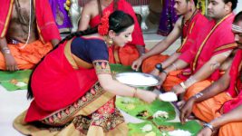 Lakshmi Kalyanam (Star Maa) S04E35 Lakshmi To Serve Plastic Rice? Full Episode