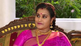 Lakshmi Kalyanam (Star Maa) S05E875 A Shock Awaits Nalini Full Episode