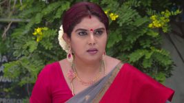Lakshmi Kalyanam (Star Maa) S05E890 Rajeshwari in Trouble? Full Episode