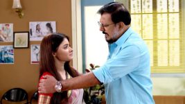 Mayur Pankhee S01E306 Raja Apologises to Tisham Full Episode