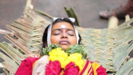 Mullum Malarum S01E376 28th May 2019 Full Episode