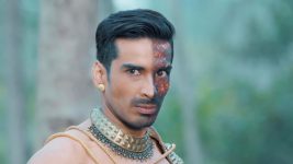 Naagin (Colors tv) S05 E52 Ek aakhri jung!