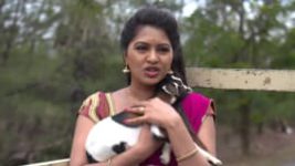 Nachiyarpuram S01E03 10th July 2019 Full Episode