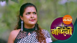 Nandini (Bengali) S01E442 4th February 2021 Full Episode