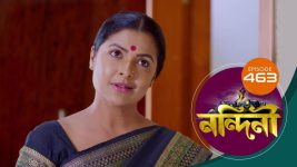 Nandini (Bengali) S01E463 25th February 2021 Full Episode