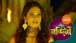 Nandini (Bengali) S01E491 25th March 2021 Full Episode