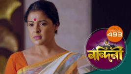 Nandini (Bengali) S01E493 27th March 2021 Full Episode