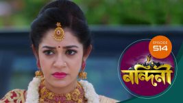 Nandini (Bengali) S01E514 17th April 2021 Full Episode