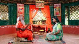 Neeli S02E184 Rekha Meets Siddhar Full Episode