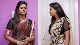 Neeli S02E219 A Warning For Rekha Full Episode