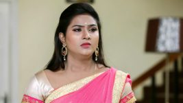Neeli S02E220 Shanmugam Plot against Anjali Full Episode