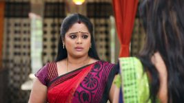 Neeli S02E225 Kamakshi Saves Anjali Full Episode
