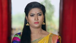 Neeli S02E237 Anjali Meets Lakshmi Full Episode