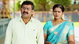 Pagal Nilavu S03E20 Subhadra Invites Sakthi Full Episode