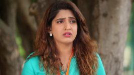 Pagal Nilavu S04E43 Jr. Sakthi Is Threatened Full Episode