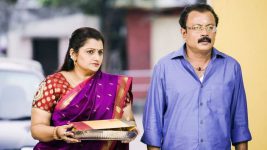 Pagal Nilavu S05E31 Malar, Sakthi Visit Chidambaram Full Episode