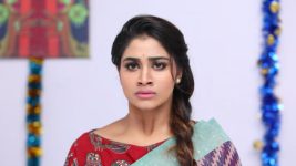 Pagal Nilavu S06E472 Sneha Confronts Arjun Full Episode
